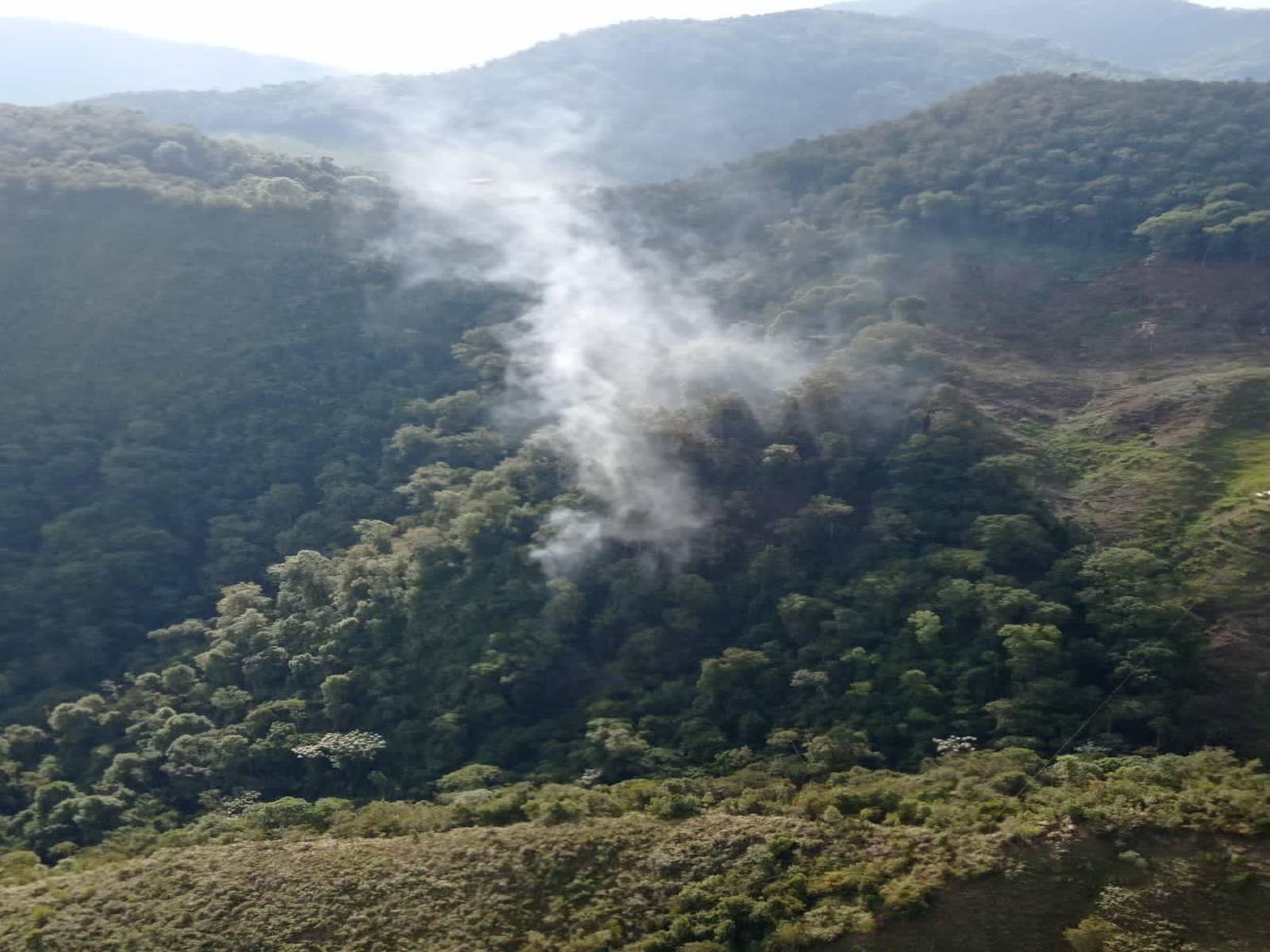 Se Declara Oficialmente Situaci N De Desastre Nacional Por Incendios